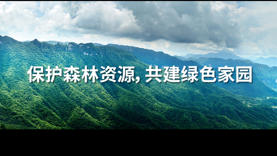 金鷹為您解答森林資源進行資產評估的重要性！